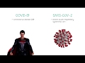 Covid 19 coronavirus an introduction by courtesy of hippomedics