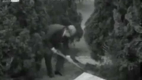 1971.3.12 全国各界纪念国父逝世46周年暨植树节 - 天天要闻