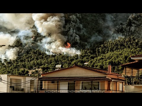 ΔΗΛΩΣΗ ΤΟΥ Ν. ΠΑΠΑΝΑΣΤΑΣΗ ΑΠΟ ΤΗΝ ΠΕΡΙΟΔΕΙΑ ΣΤΙΣ ΚΕΧΡΙΕΣ ΚΟΡΙΝΘΙΑΣ