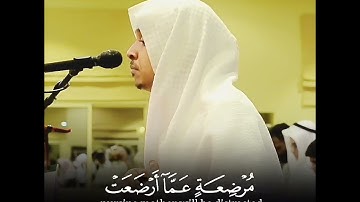 يا أيها الناس اتقوا ربكم إن زلزلة الساعة شيء عظيم |القارئ :عمر الدريويز|