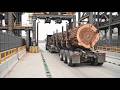 How Plywood Is Made From Giant Logs to Perfect Table in Massive Factory Full Process 2026