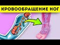 Вот как нормализовать кровообращение в ногах