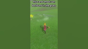 🌿 Industrialized Mowing in Zelda Tears of the Kingdom