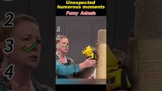 #fyp #viral #best #video  #cringe #like#pet