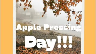 Apple Pressing Day! #apple #fruit #trees #juice #cider #preserving #natural #chemicalfree