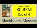 Blackberry blossom   bluegrass backing track 80