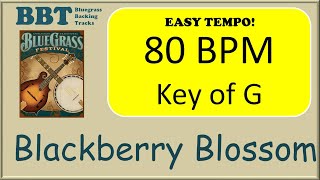 Video-Miniaturansicht von „Blackberry Blossom  - bluegrass backing track 80“