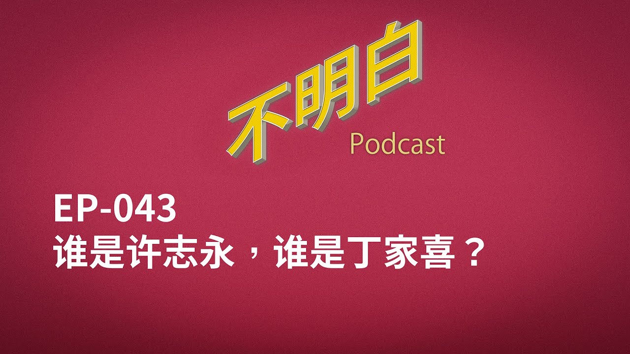 许子东讲中国现代文学8 文学与政治之间的矛盾