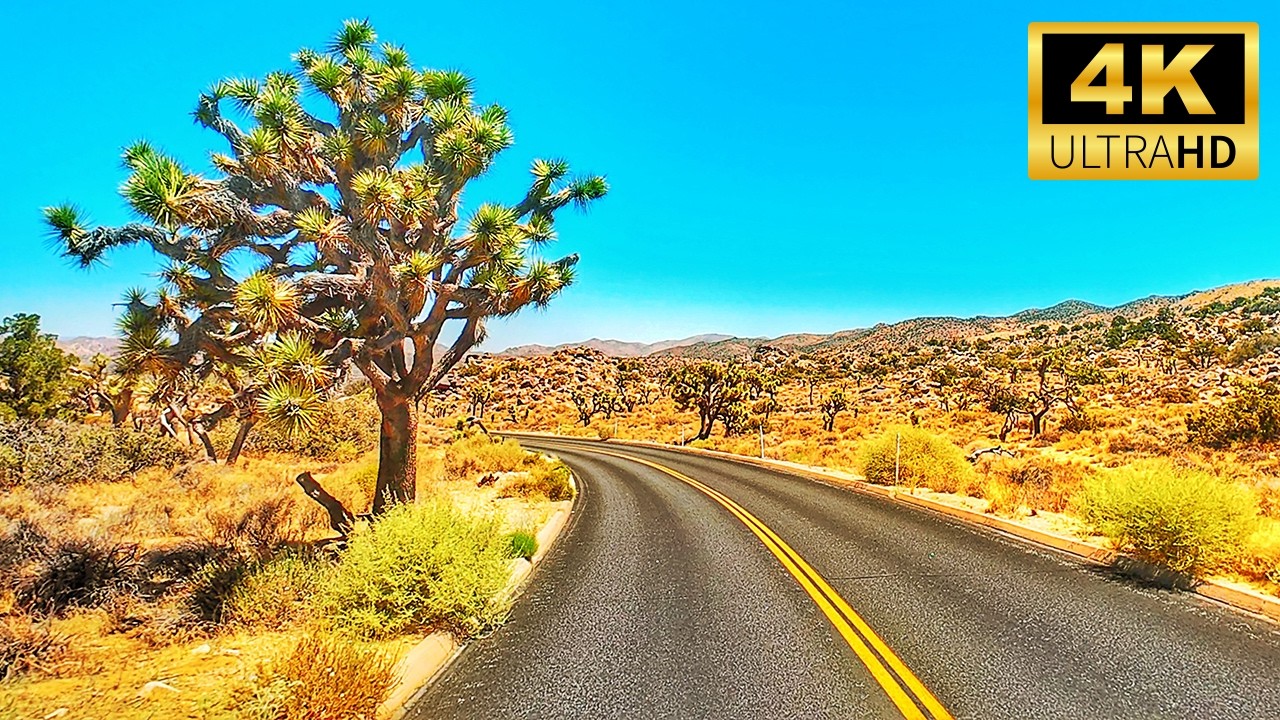 Joshua Tree’s Most Breathtaking Scenic Drive EVER | 4K California Desert Driving Adventure