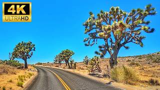 Joshua Tree’s Most Breathtaking Scenic Drive EVER | 4K California Desert Driving Adventure
