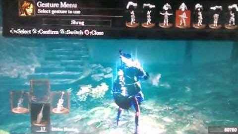 Dark Souls PVP (INVADING RAMDOM WORLDS) Fake Hacker