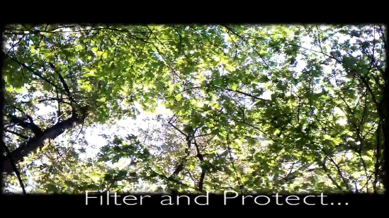 Earth Stewards Protect Air Water Soil Seeds Filter