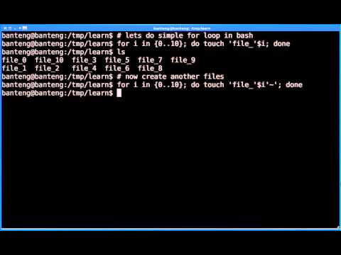 Bash Tutorial - Creating and Deleting Files Quickly