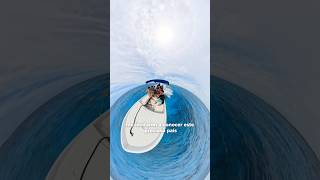 Cosas que pasan en los viajes🫣. No pude grabar, pero hice canopy más cool y raro en Belize 🇧🇿