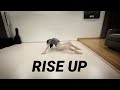 RISE UP ANDRA DAY - DANCE CHOREOGRAPHY