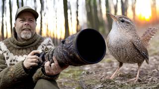 When Bird Photography Stops Being Fun screenshot 3