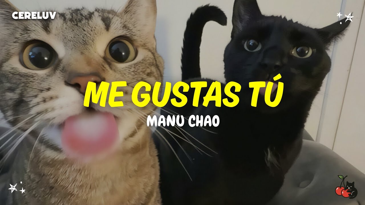 Manu Chao - Me Gustas Tú (Letra)