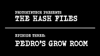 The Hash Files Ep. 3 - Pedro's Grow Room