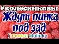 Колесниковы /Ждут пинка под зад/Обзор Влогов /7-Я /Семья Колесниковых /Обзоры /