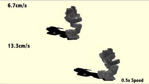 Evolutionary Optimization for Parameterized Whole-body Dynamic Motor Skills