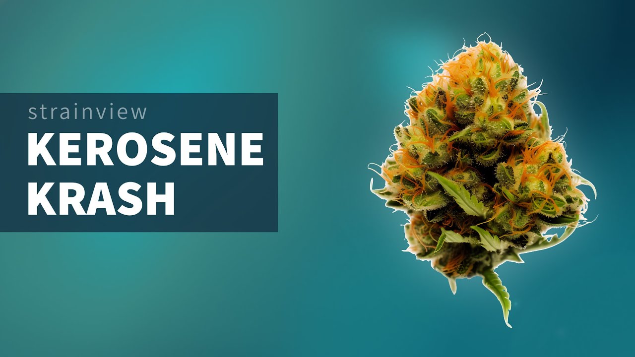 Kerosene Krash - StrainView