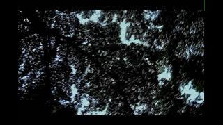 Status WA. Merantau memberikanmu Banyak pengalaman..