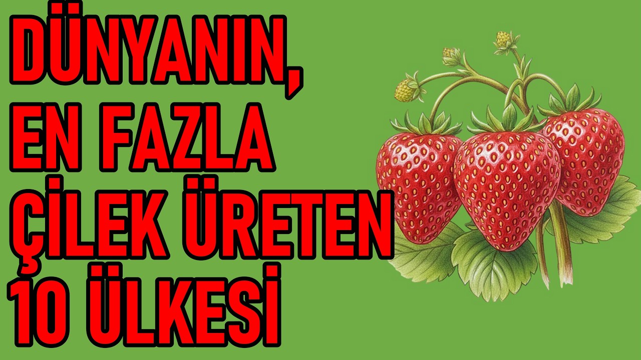 Dünyanın En Fazla Çilek Üreten 10 Ülkesi! Türkiye Kaçıncı Sırada?