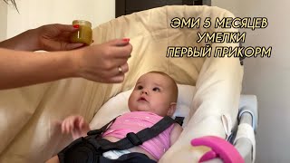 ВЛОГ: ЭМИ 5 МЕСЯЦЕВ | УМЕЛКИ | НАЧАЛИ ПРИКОРМ