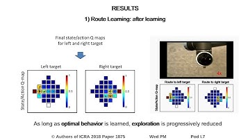 Human in the Loop of Robot Learning: EEG-Based Reward Signal for Target Identification and Reaching