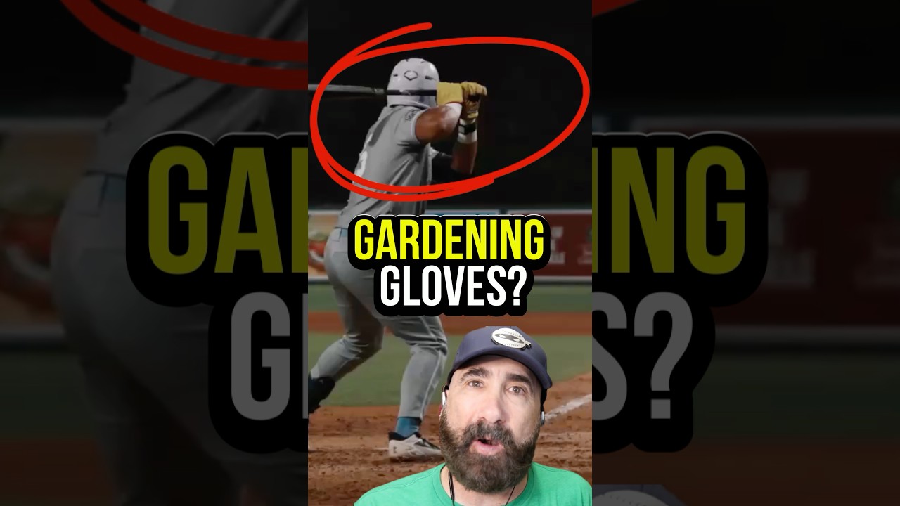 Gardening gloves to hit? #baseball