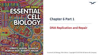 (BC PCB 3023) Chapter 6 DNA Replication and Repair Part 1 Profile