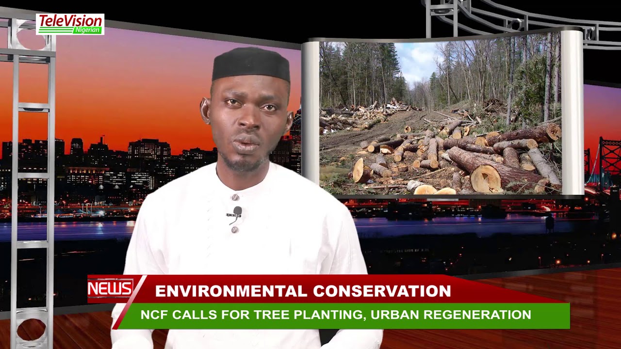 Ncf Tree NCF CALLS FOR TREE PLANTING, URBAN REGENERATION - YouTube