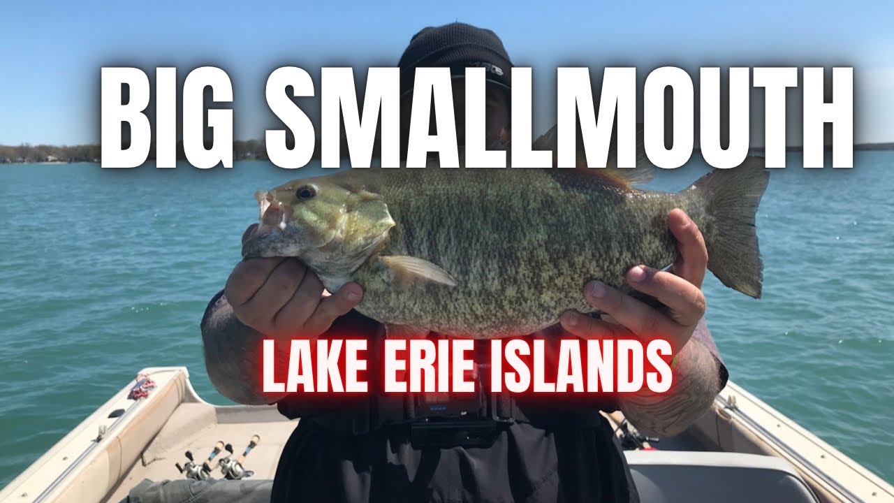 LAKE ERIE SMALLMOUTH (OHIO) The Bass Islands #BASSFISHING #SMALLMOUTHBASS # LAKEERIE 