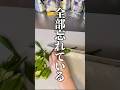 ライブ後の記憶ってある？ オクラのグラタンとストゼロ。