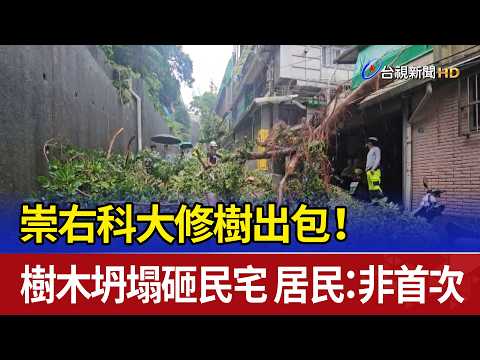 Chungyu University Tree Trimming Blunder! Tree Collapses Onto Homes; Residents Say It’s Not the F...