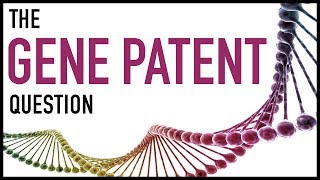 The Gene Patent Question