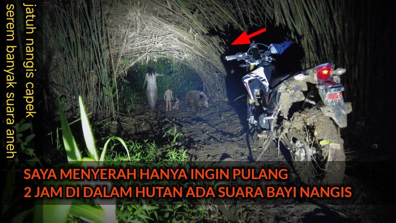 JATUH BANGUN MENEMBUS HUTAN SUNGAI SERAYU 10KM JAM 2 PAGI SAMPAI MENYERAH DI TEROR BANYAK SUARA ANEH
