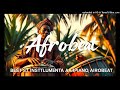 Afrobeat Instrumental 2026 Free Beat Africa New Freestyle VibeAfro Soul