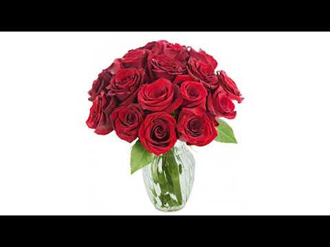 best-valentines-day-reviews!-kabloom-valentine's-day-collection:-bouquet-of-18-fresh-orange-roses..