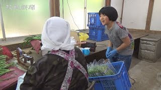 いばらき大使の緒方湊君　本県産食材の生産現場訪問