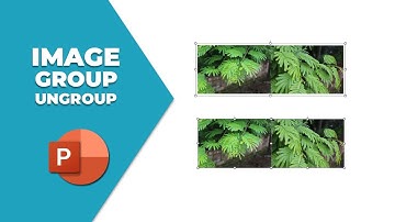 how to group and ungroup image in PowerPoint