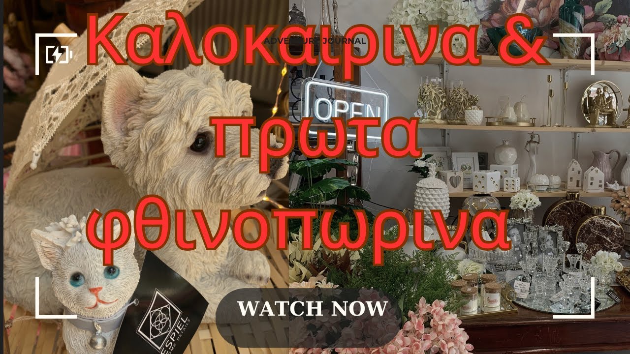 Πολλά νέα καλοκαιρινά 🍓🍉και τα πρώτα φθινοπωρινά!🍄‍🟫🍇#αγιοσπαισιοσ #διακοσμηση