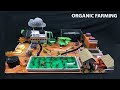 How to make an Organic farming school project step by step ! Sustainable agriculture practices