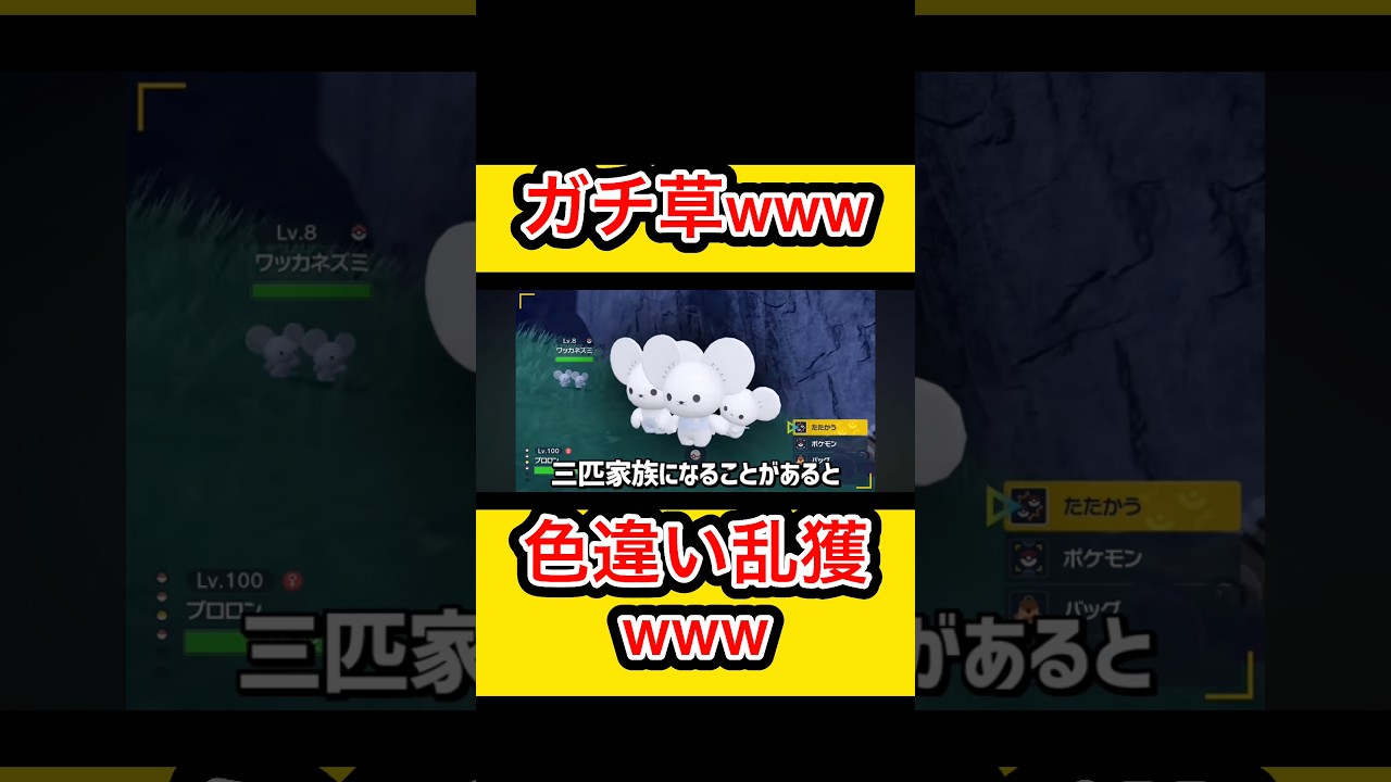 【ガチ草www】色違い乱獲パーティーwww #切り抜き #ポケモン #切り抜き