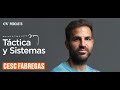 Táctica y Sistemas – Cesc Fàbregas