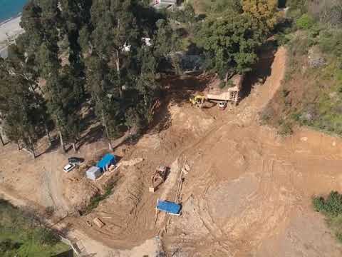 ბათუმის შემოსასვლელში კიდევ ერთი ხე ემზადება ზღვის გადასაცურად #ალტერნატივა