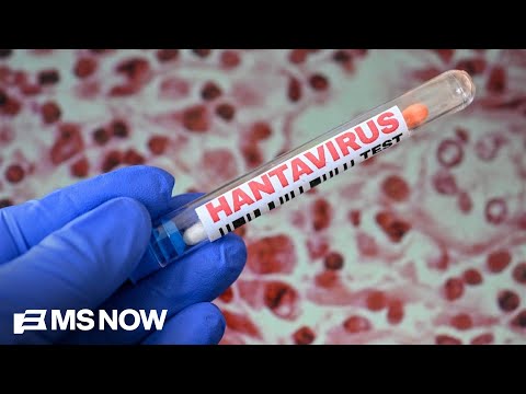 18 passengers from Hantavirus-hit ship back in U.S.