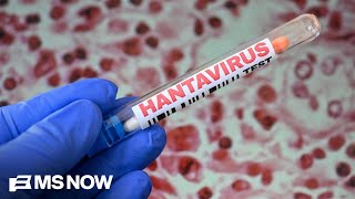 Famous 18 passengers from Hantavirus-hit ship back in U.S. Net Worth