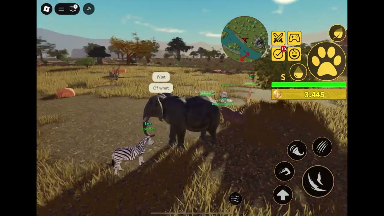 I played as elephant in Savannah life