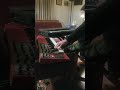 Keybs Improv Extra 🎹❓🗞️ 💰🍺🍄 👀 👉 thefullerzone.com 👈 📖🌐 Flash Fiction daily 515+ #keyboard #fun 🎹🐿️🎶🥳